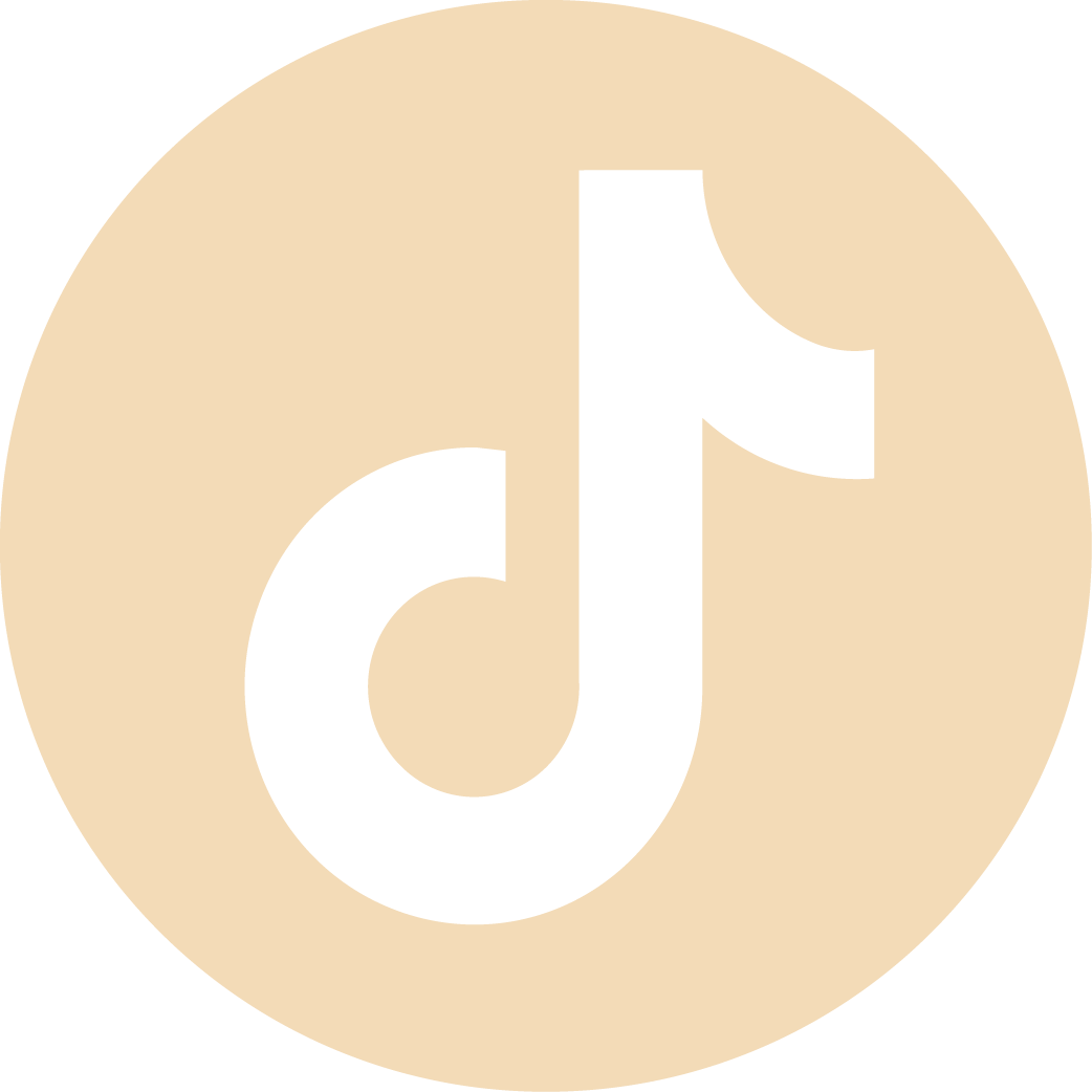 icon tiktok rot